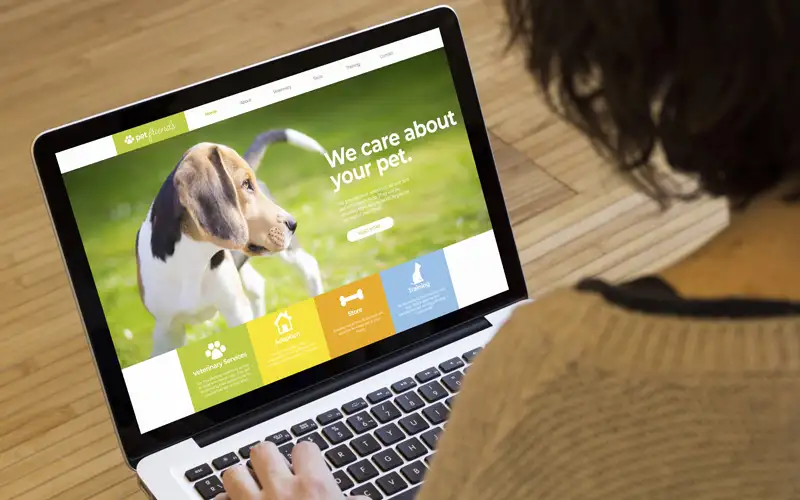 5 Unforgettable Marketing Ideas for Veterinarians