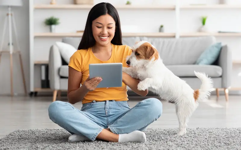 Better Together - Top 5 Things Veterinarians Need to Understand About Millennial Clients