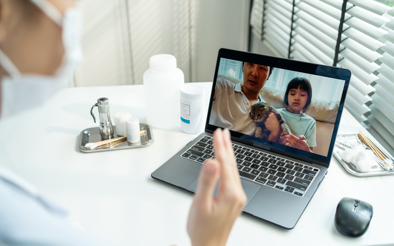 Considerations for Offering Telemedicine as a Veterinarian