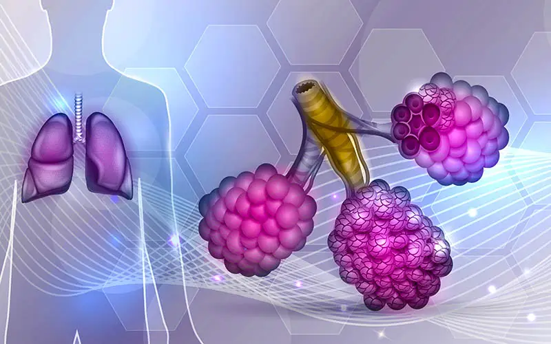 Dentists and Idiopathic Pulmonary Fibrosis