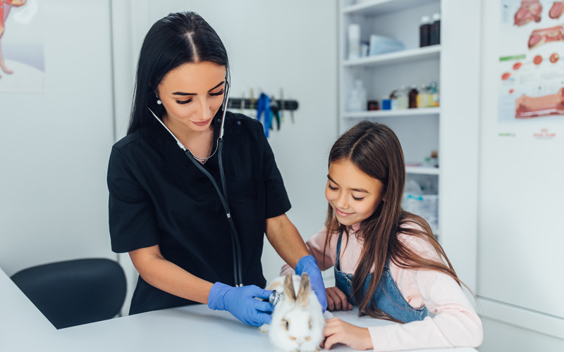 How Can You Reduce Stress in Your Practice, Patients and Pet Owners?