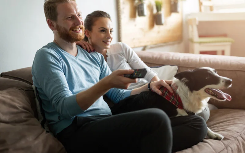 Recommended Educational Veterinarian Focused TV Shows