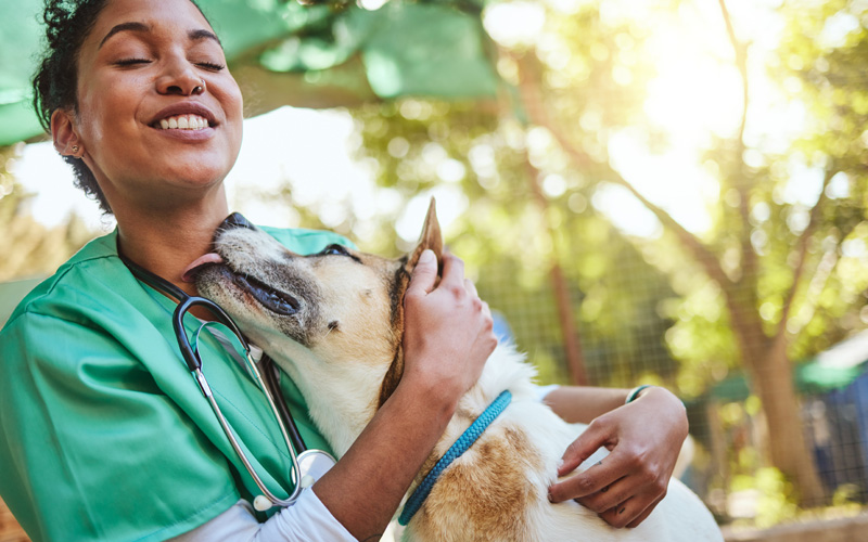 Ten Ways to Get Out of a Veterinarian Funk