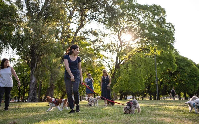 Tips to Reduce Concern and Conflict at Your Veterinary Practice