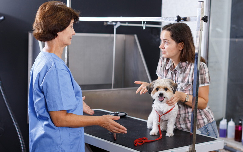Veterinary Malpractice: Are You Covered?